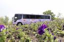 Ônibus Lilás orienta sobre direitos das mulheres em seis municípios - Foto: Aliocha Maurício/SEDS