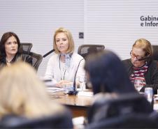 Secretária da Família e Desenvolvimento Social, Fernanda Richa, comanda a primeira reunião do Codesul em 2016 - Foto: Rogério Machado/SECS - Foto: Rogério Machado/SECS