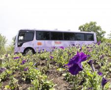 Ônibus Lilás orienta sobre direitos das mulheres em seis municípios - Foto: Aliocha Maurício/SEDS