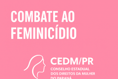 combate feminicídio 