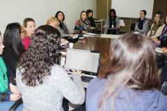 Reunião das Comissões do Conselho Estadual dos Direitos da Mulher - CEDM - Foto: Aliocha Maurício/SEDS