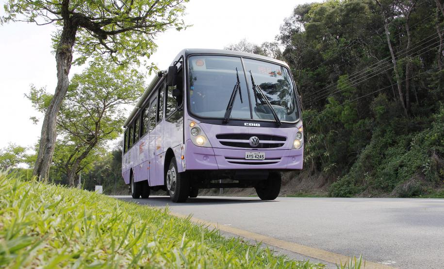 Ações nos municípios marcam Dia Internacional da Mulher - Foto: Aliocha Mauricio/SEDS